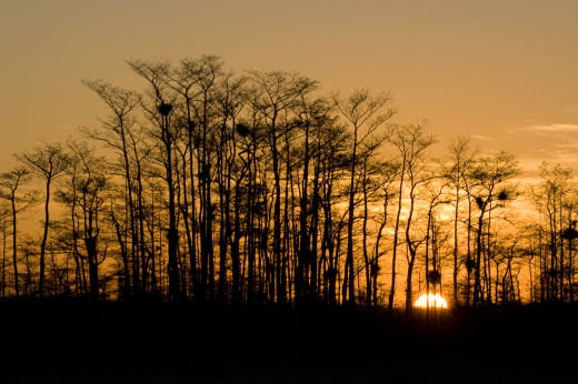 cypress-sunrise-00003
