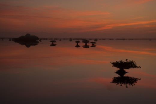 The sun lights up the clouds over a lagoon with Red Mangrove islands at Merritt Island National Wildlife Refuge before dawn.