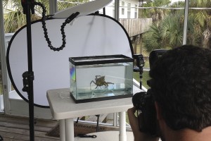 Behind the Scenes shooting for Meet Your Neighbours aquarium setup.