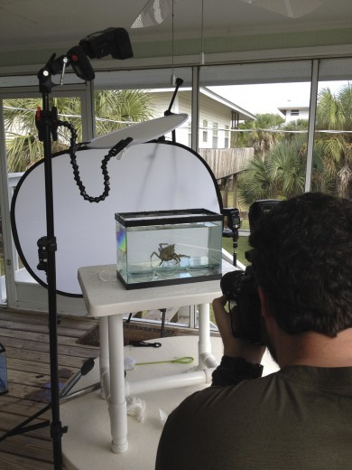 Behind the Scenes shooting for Meet Your Neighbours aquarium setup.